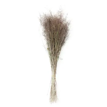 50 stiebų Džiovinti Muhly Žolės Krūva Natūralių Augalų, Gėlių daugiametė žolė miscanthus heteroph Puokštė Namų Puošybai Accessories