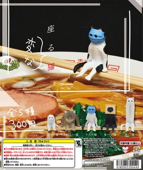 Japonija Kitan Gashapon Kapsulė Žaislas Sėdi Keistai Katė Modelis Lėlių Pav Periferinių Lėlės
