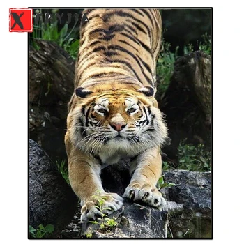 kvadratiniu/apvalus gręžimo Sibiro Tigras 5d 