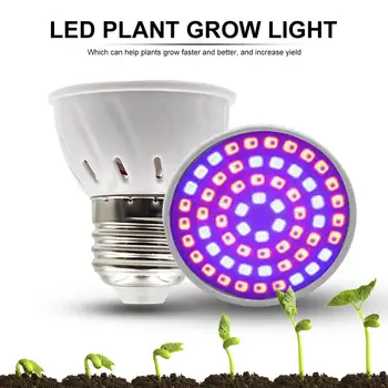 LED Augalų Auga Lemputė E27 Augti Lemputės Patalpų Sodas Šiltnamio efektą sukeliančių Augalų Žiedų R Hydroponics Augti Palapinę Lauke 3/4/5 W 220v