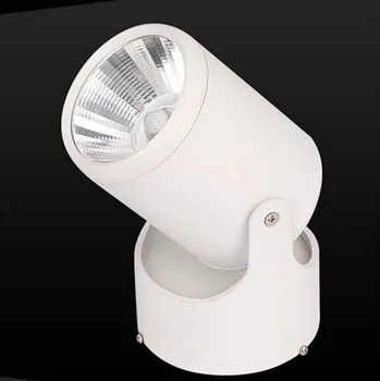 Nemokamas Pristatymas 15W Pritemdomi Paviršiaus Montuojamas 180 laipsnių Reguliuojamas Led Lubų šviestuvai LEDindoor šviesos šilta šalta balta lempa